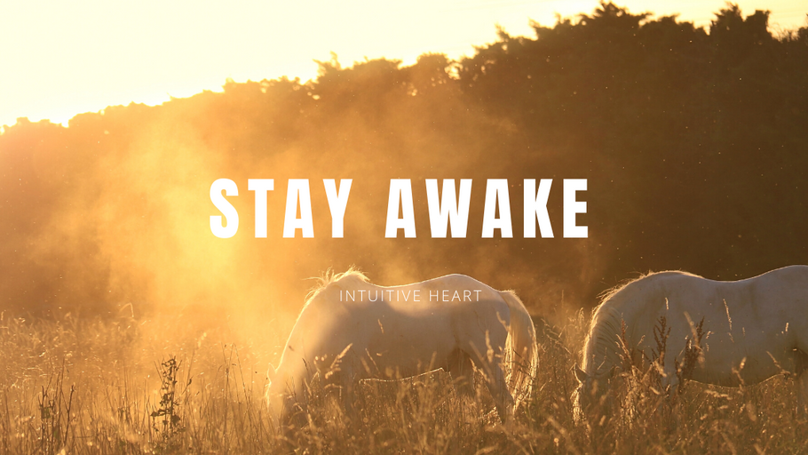 Stay Awake
